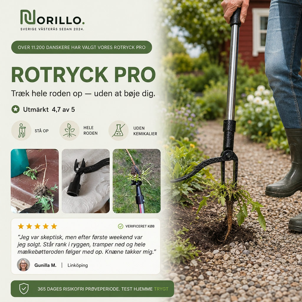 RotRyck Pro hero dansk