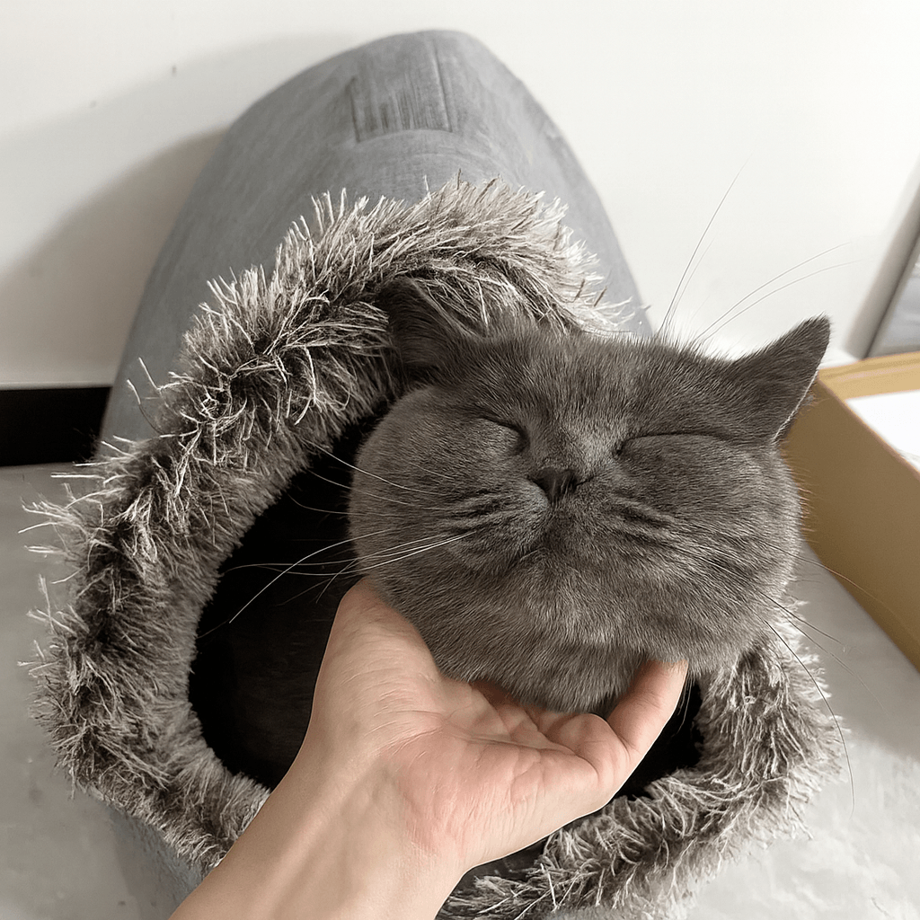 Kat i varm vinterseng med hvælvet tag