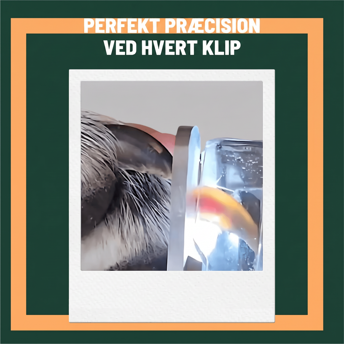 Kloklipper banner dansk